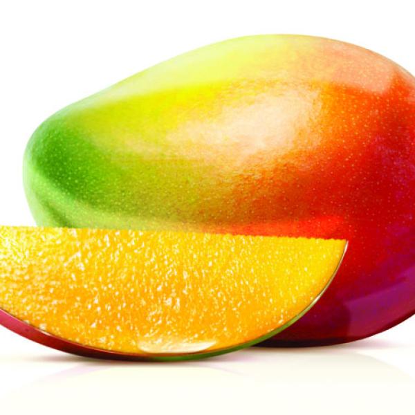 frutto mango